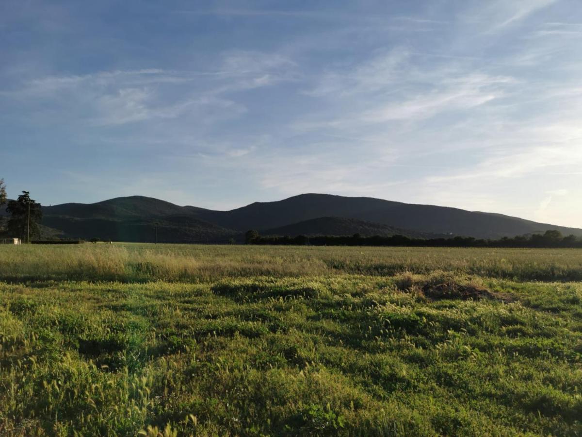 ألبيريزي Podere Montecorno المظهر الخارجي الصورة